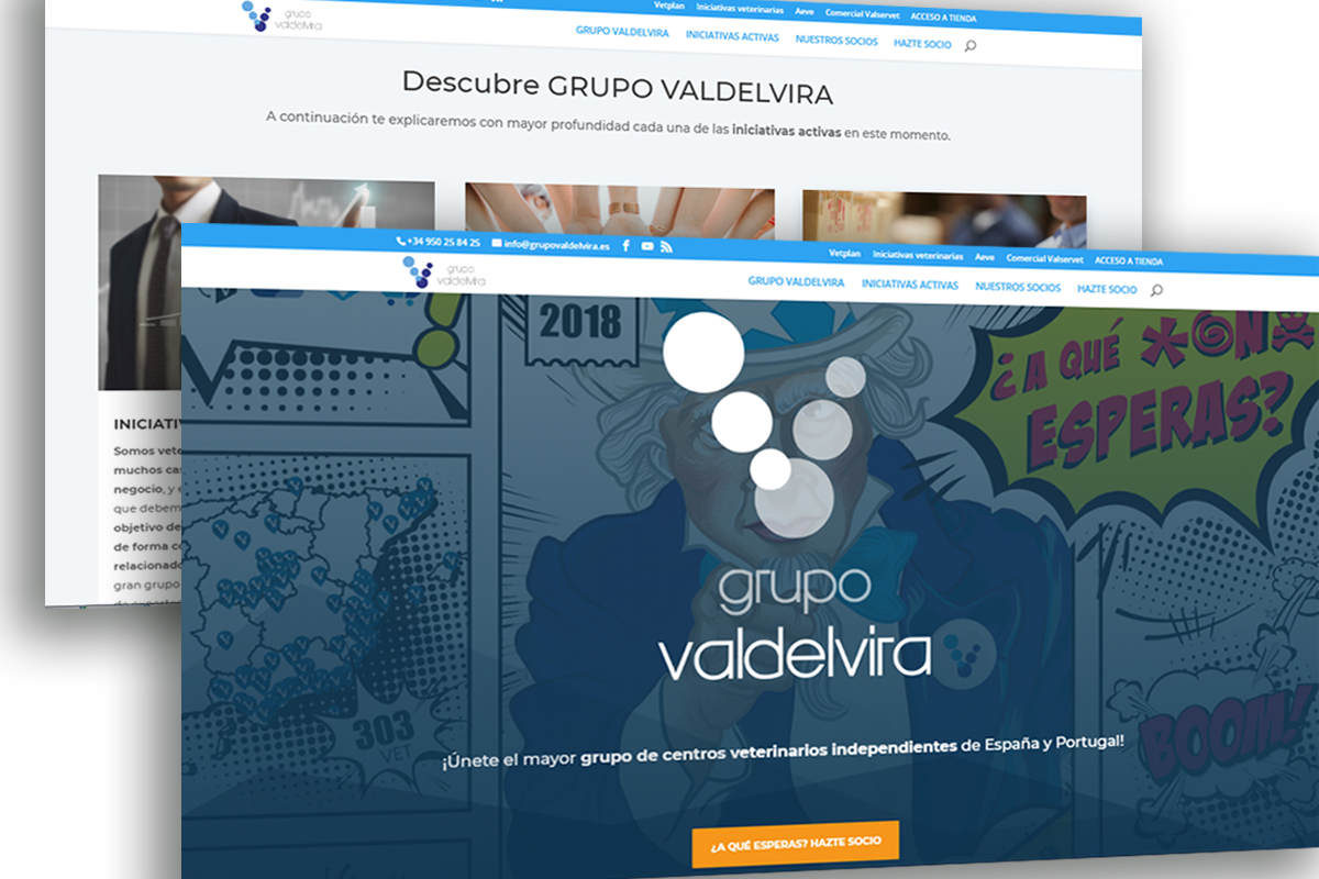 Página web para Grupo Valdevira optimizada para SEO